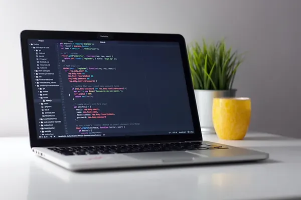 Software development