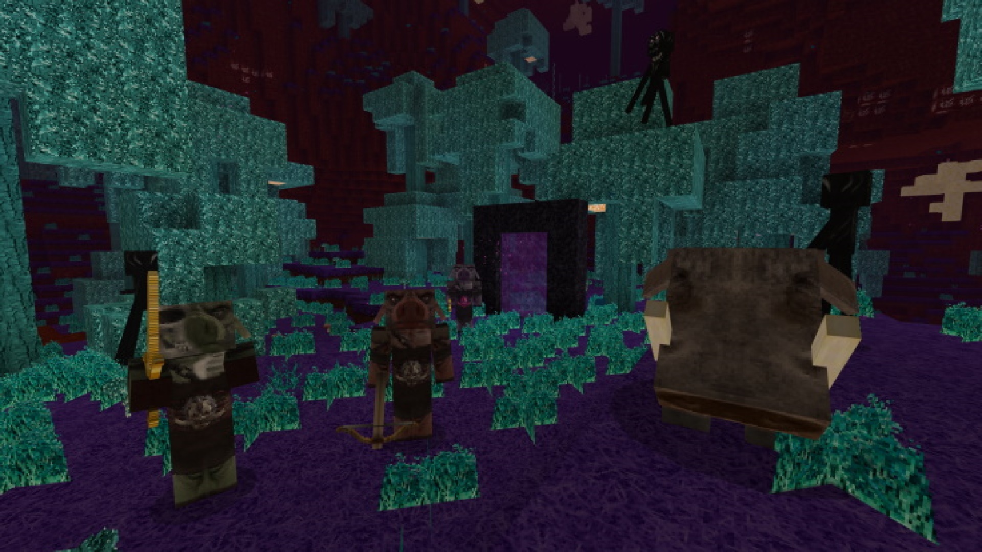 Screenshot NO 8